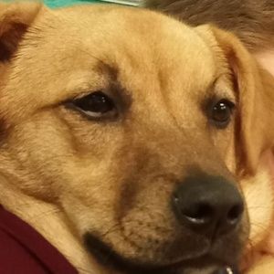 Meet your Posher, Dylan